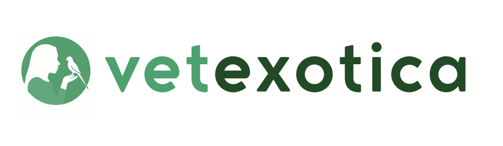 Vetexotica | Comportamiento y cuidado de loros